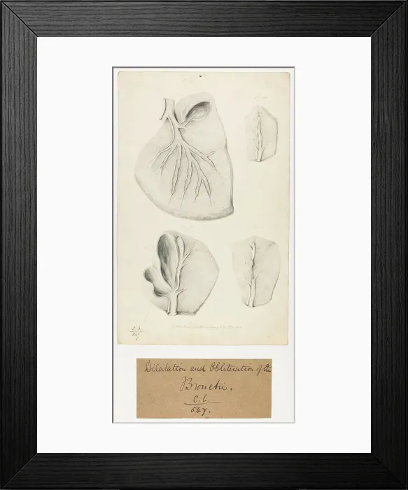 Framed Print : 13741537 Framed Print : 13741537