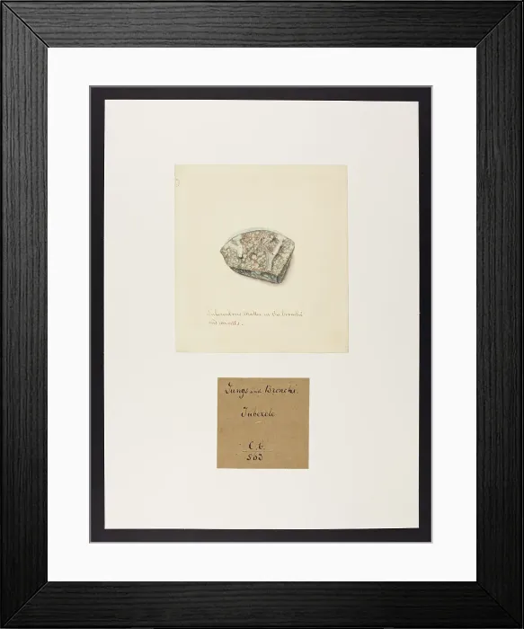 Framed Print : 13741546 Framed Print : 13741546