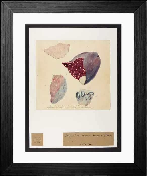 Framed Print : 13741549 Framed Print : 13741549