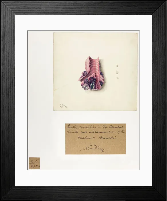 Framed Print : 13741560 Framed Print : 13741560
