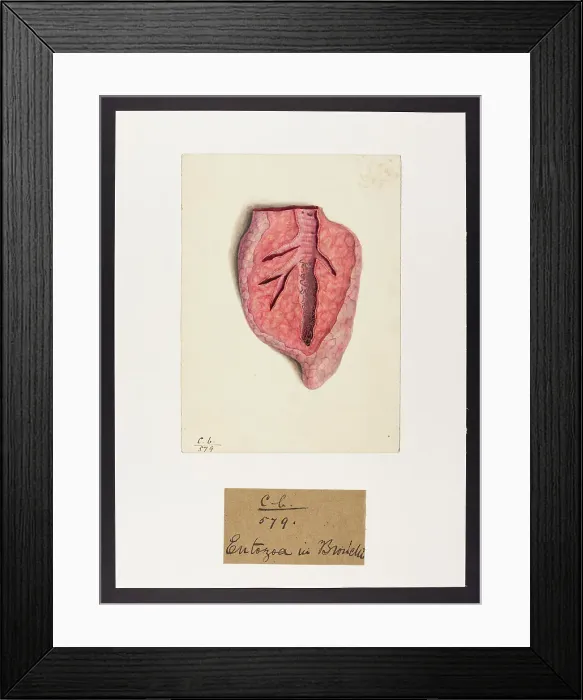 Framed Print : 13741561 Framed Print : 13741561
