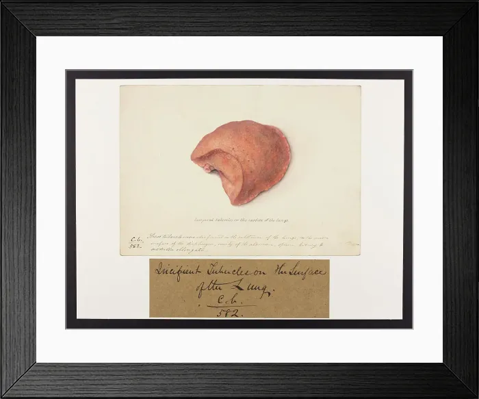 Framed Print : 13741564 Framed Print : 13741564