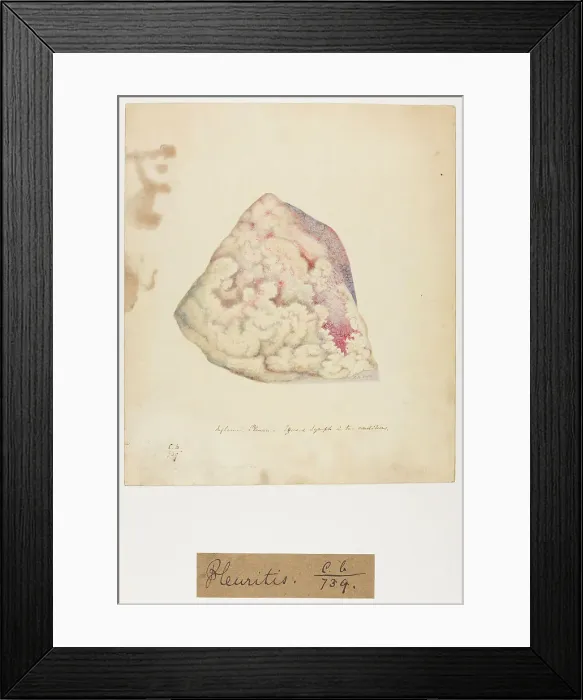 Framed Print : 13741570 Framed Print : 13741570