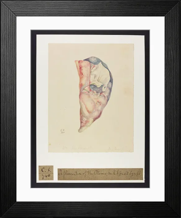 Framed Print : 13741571 Framed Print : 13741571