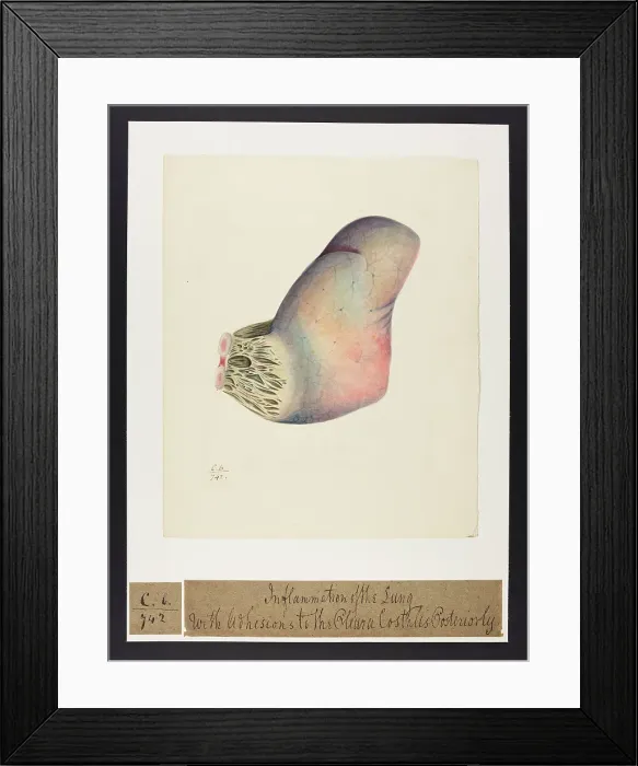 Framed Print : 13741573 Framed Print : 13741573
