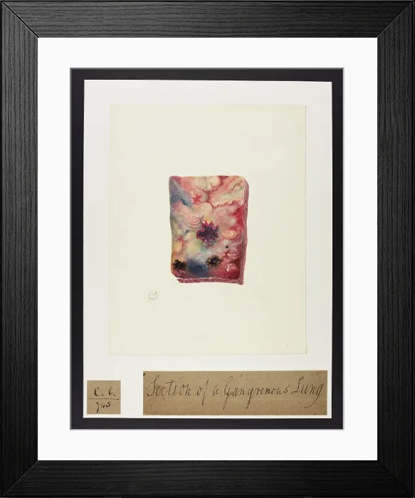 Framed Print : 13741576 Framed Print : 13741576