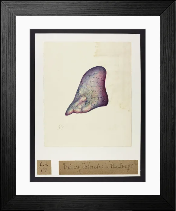 Framed Print : 13741577 Framed Print : 13741577