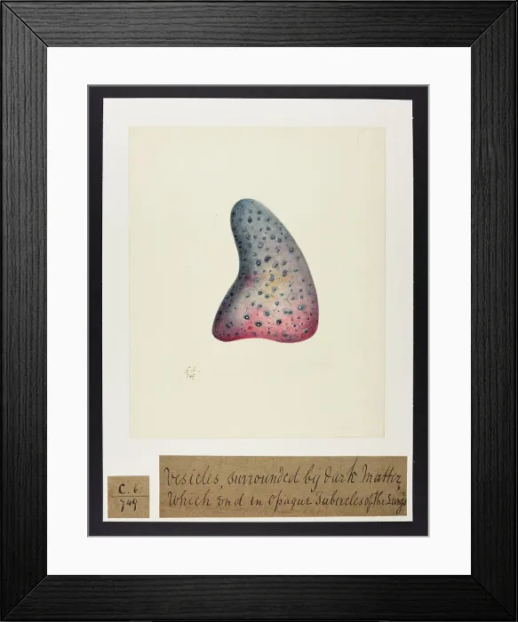 Framed Print : 13741579 Framed Print : 13741579