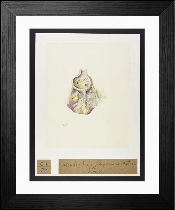 Framed Print : 13741580 Framed Print : 13741580