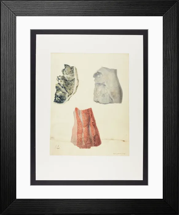 Framed Print : 13741590