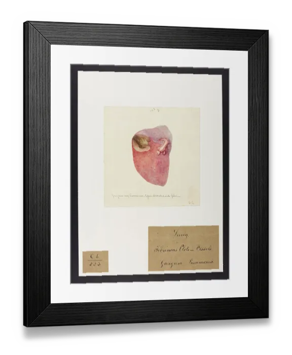 Framed Print : 13741592 Framed Print : 13741592
