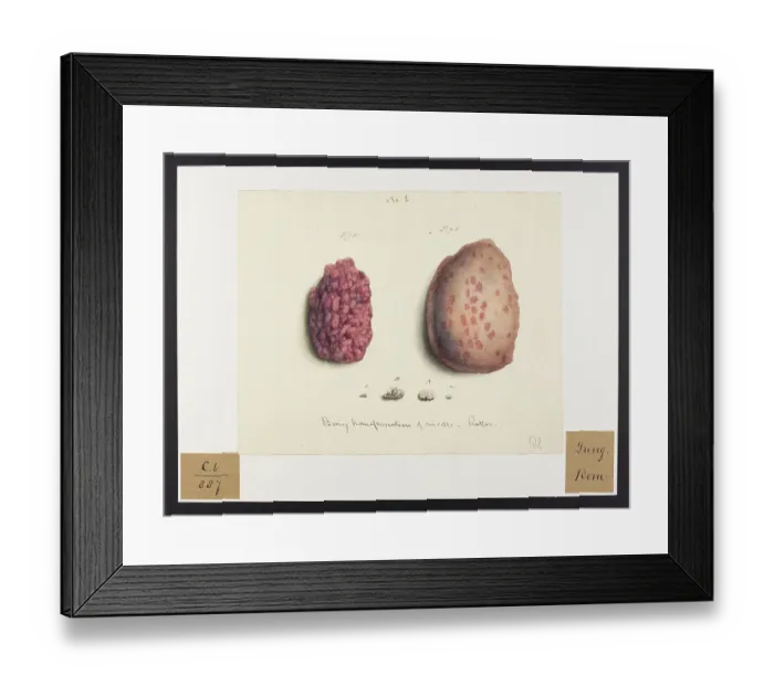 Framed Print : 13741596 Framed Print : 13741596