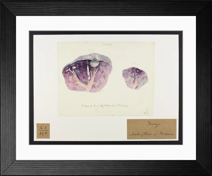 Framed Print : 13741599 Framed Print : 13741599