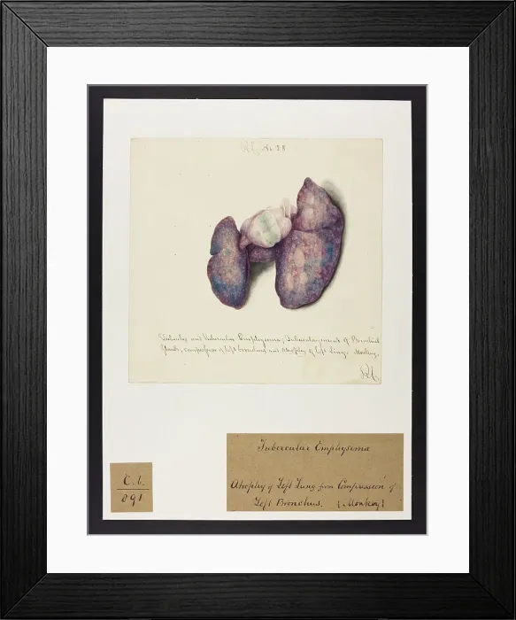 Framed Print : 13741600 Framed Print : 13741600