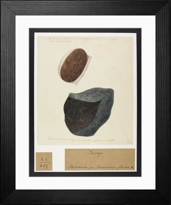 Framed Print : 13741598 Framed Print : 13741598