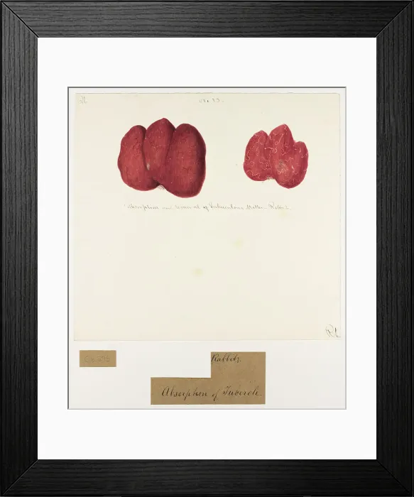 Framed Print : 13741604 Framed Print : 13741604