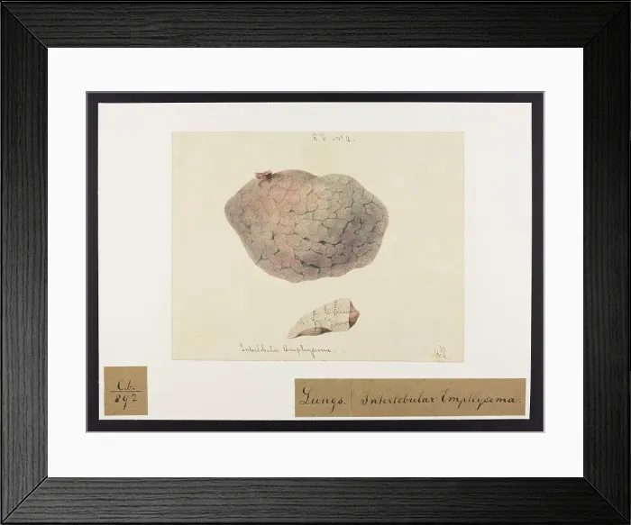 Framed Print : 13741601