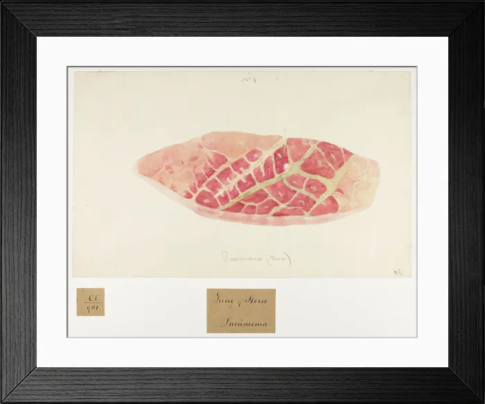 Framed Print : 13741610 Framed Print : 13741610