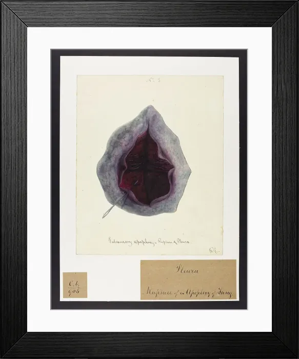 Framed Print : 13741615 Framed Print : 13741615