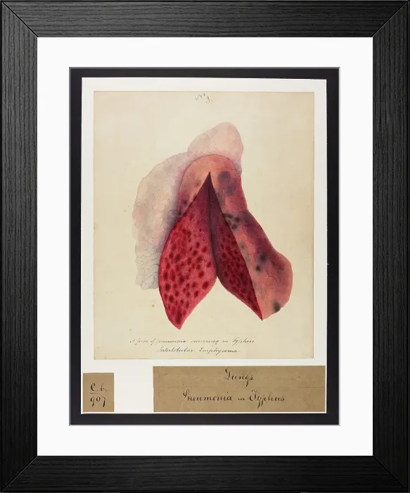 Framed Print : 13741616 Framed Print : 13741616