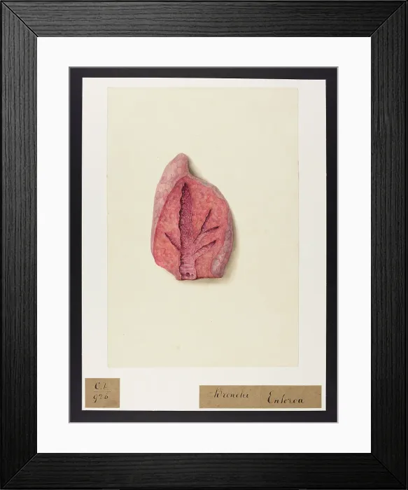 Framed Print : 13741620 Framed Print : 13741620