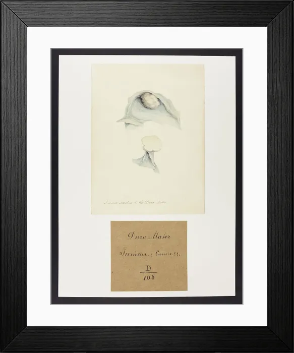 Framed Print : 13741624 Framed Print : 13741624