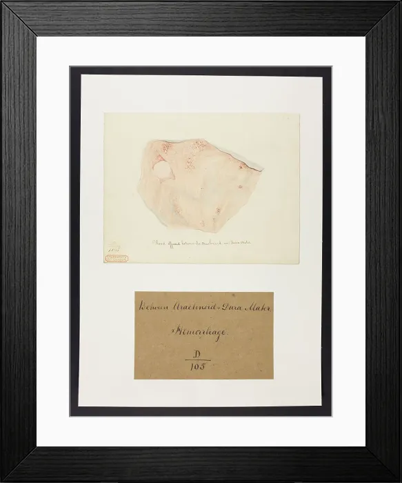 Framed Print : 13741623 Framed Print : 13741623