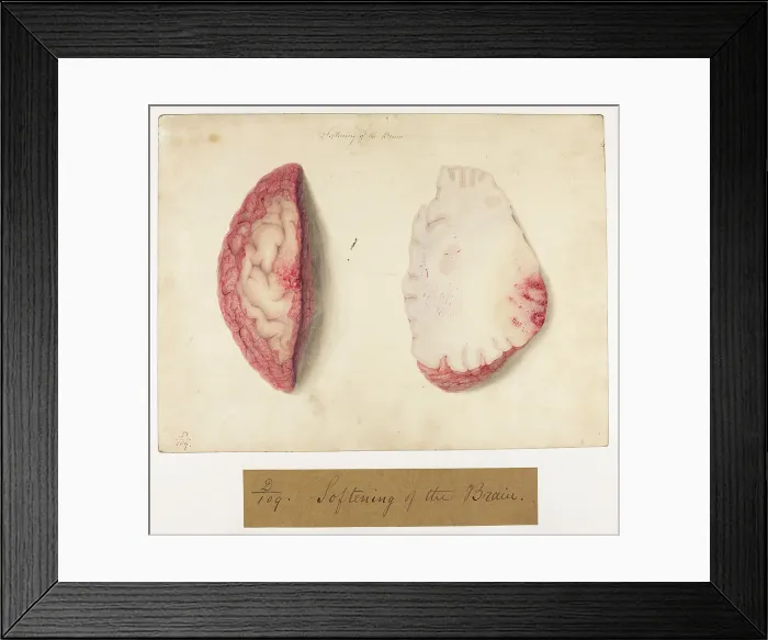 Framed Print : 13741626 Framed Print : 13741626