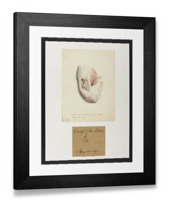 Framed Print : 13741629 Framed Print : 13741629