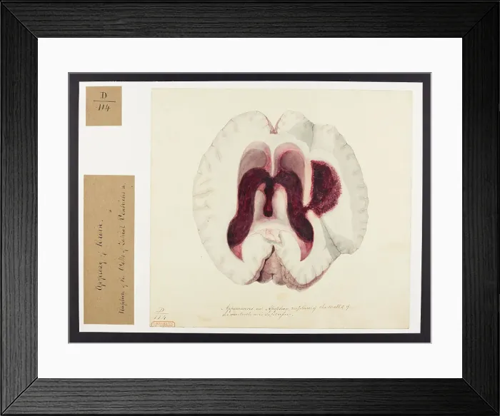 Framed Print : 13741631 Framed Print : 13741631