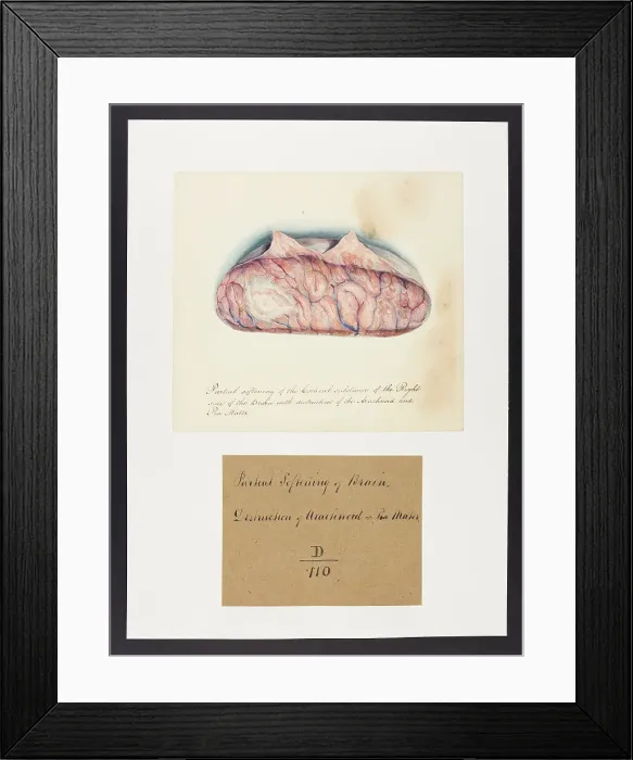 Framed Print : 13741627 Framed Print : 13741627