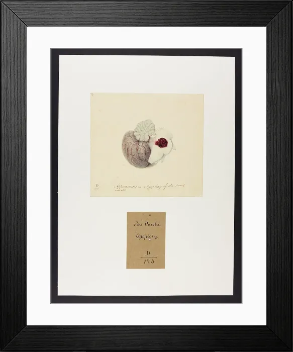 Framed Print : 13741637 Framed Print : 13741637