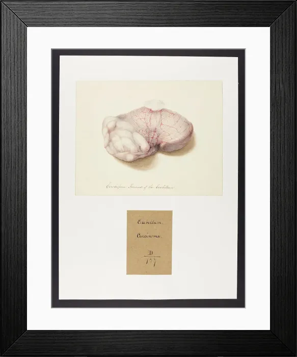 Framed Print : 13741641 Framed Print : 13741641