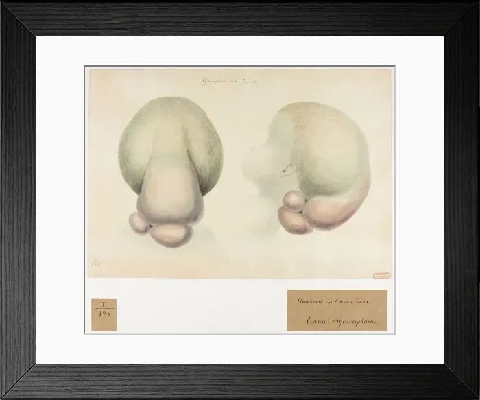 Framed Print : 13741642 Framed Print : 13741642