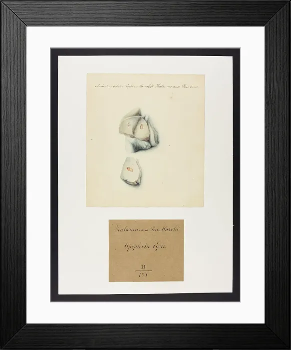 Framed Print : 13741635 Framed Print : 13741635