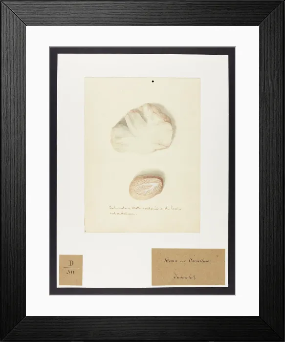 Framed Print : 13741645 Framed Print : 13741645