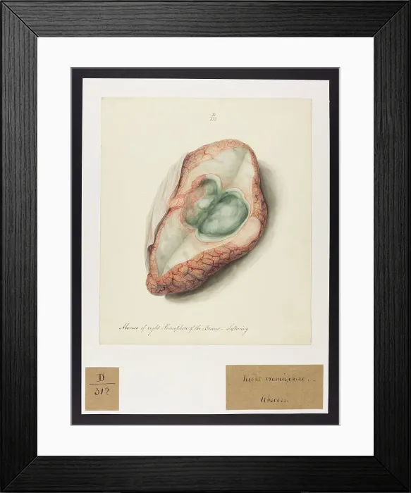 Framed Print : 13741646 Framed Print : 13741646
