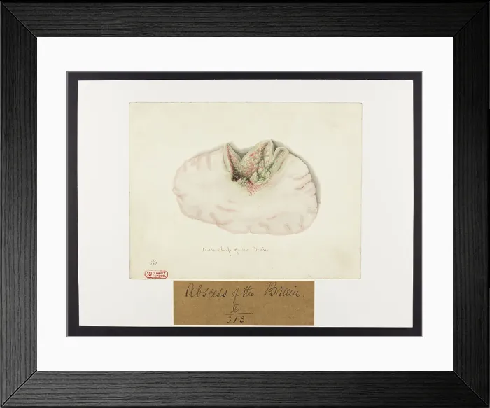 Framed Print : 13741647 Framed Print : 13741647