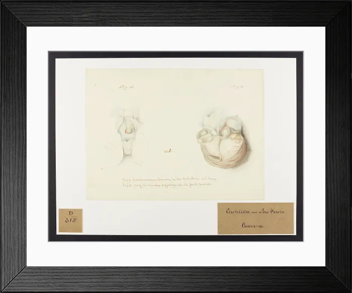 Framed Print : 13741649 Framed Print : 13741649