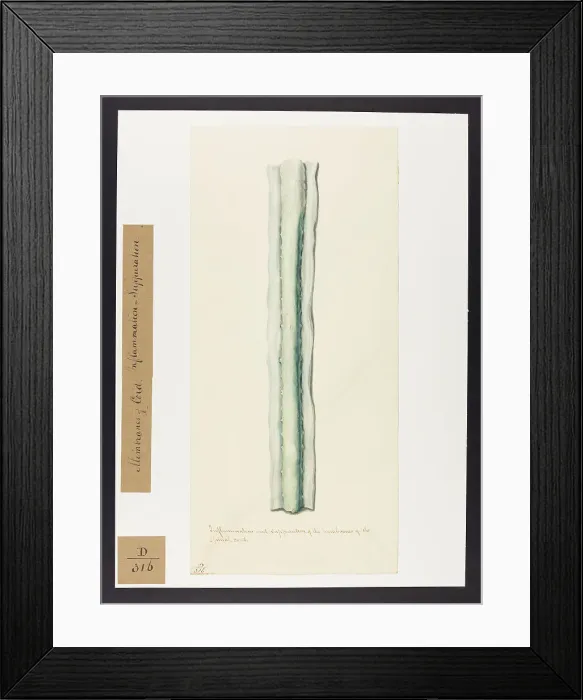 Framed Print : 13741650 Framed Print : 13741650