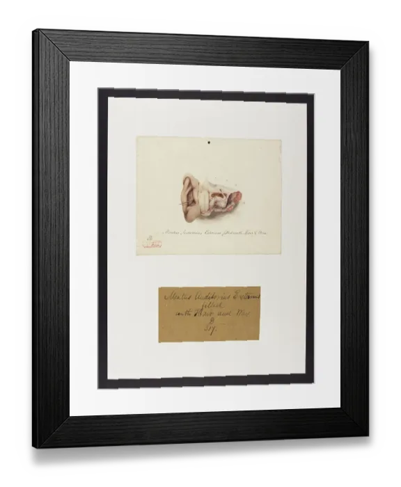 Framed Print : 13741651 Framed Print : 13741651