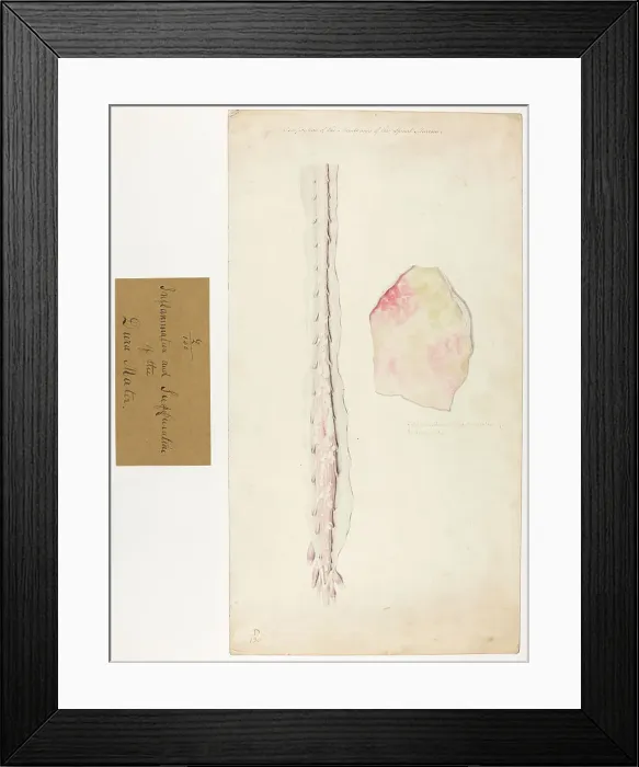 Framed Print : 13741644 Framed Print : 13741644