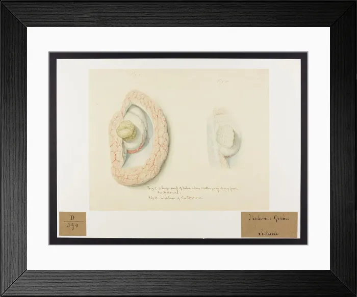 Framed Print : 13741656 Framed Print : 13741656
