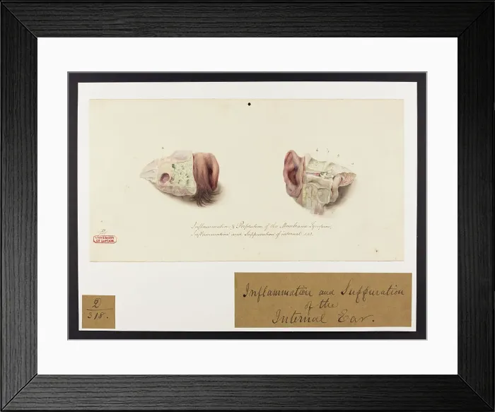 Framed Print : 13741652 Framed Print : 13741652