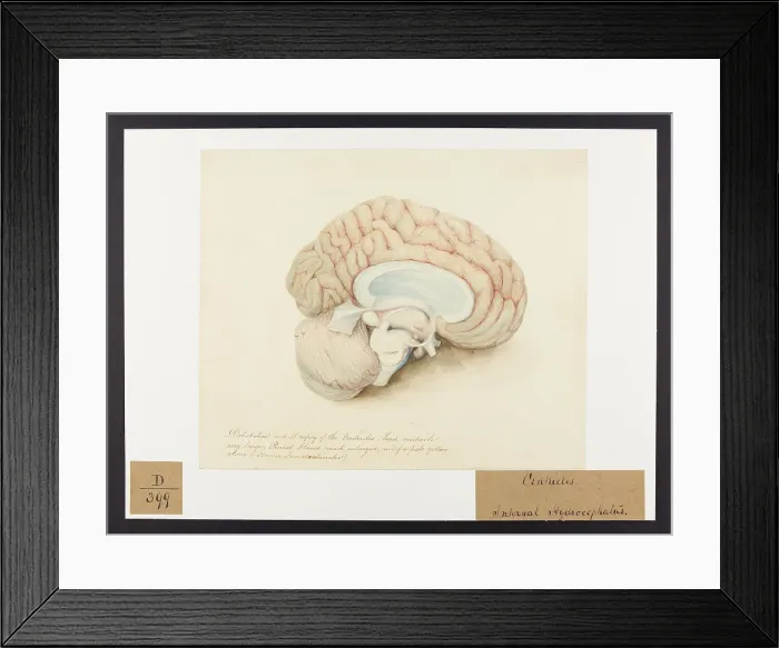 Framed Print : 13741658 Framed Print : 13741658