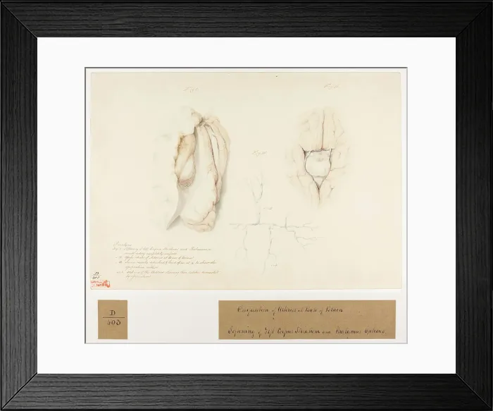 Framed Print : 13741661 Framed Print : 13741661