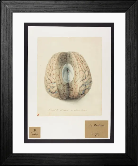 Framed Print : 13741662