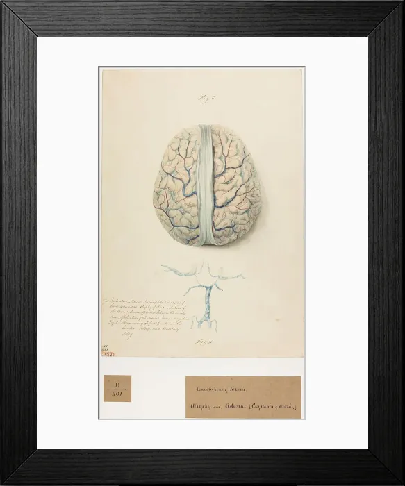 Framed Print : 13741660 Framed Print : 13741660