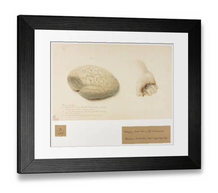 Framed Print : 13741664 Framed Print : 13741664