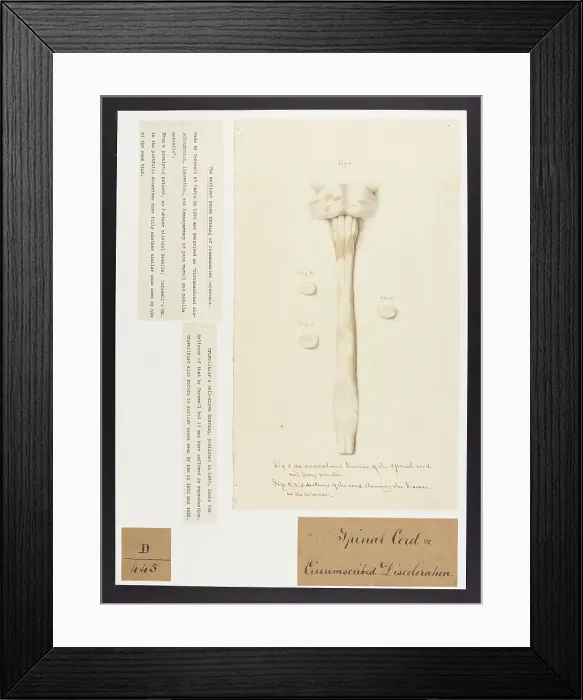 Framed Print : 13741671 Framed Print : 13741671
